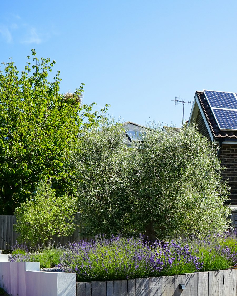 Moradia com jardim e painéis solares no telhado